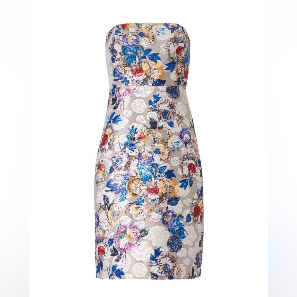 J Crew Collection Copenhagen Dress  Size 10